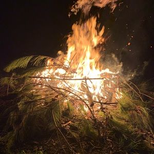 Meet your Posher, Sally